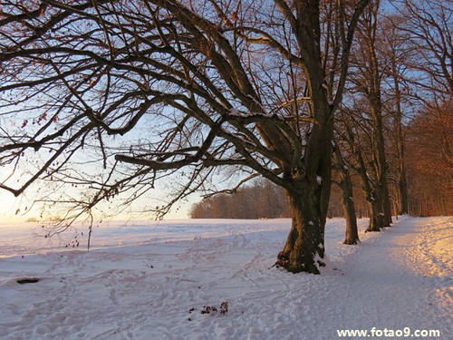 梦见给孩子煮面条,解梦梦见给孩子煮面条 梦见给孩子煮面条,解梦梦见给孩子煮面条