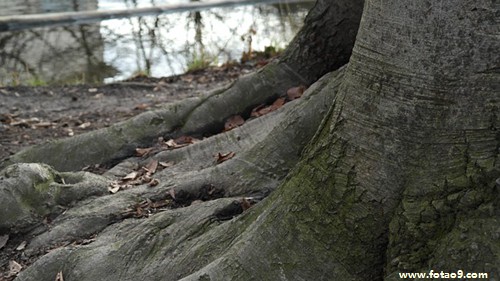 μҽ˵Сƫ,μҽ˵Сƫ