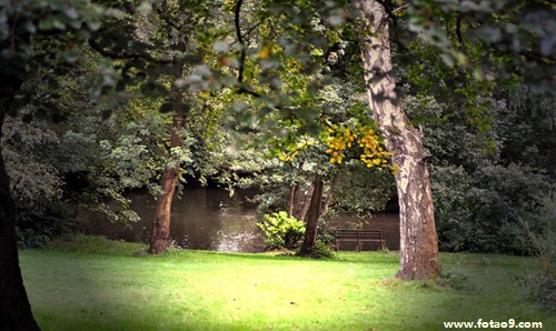 梦见弟弟杀人帮他逃跑,解梦梦见弟弟杀人帮他逃跑 梦见弟弟杀人帮他逃跑,解梦梦见弟弟杀人帮他逃跑
