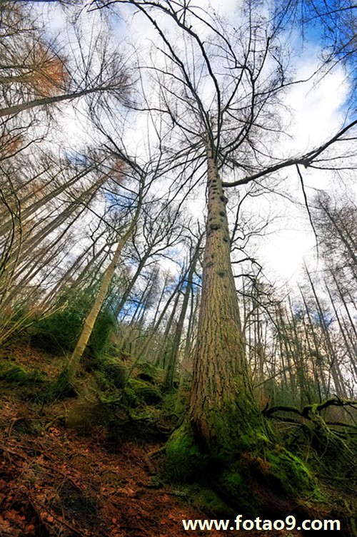 梦见牙缝塞东西抠不出来,解梦梦见牙缝塞东西抠不出来 梦见牙缝塞东西抠不出来,解梦梦见牙缝塞东西抠不出来
