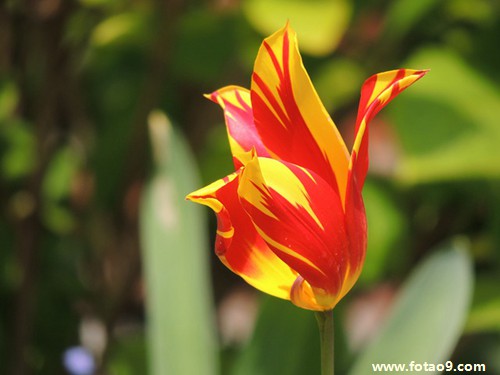 梦见跟明星的小孩子一起玩,解梦梦见跟明星的小孩子一起玩 梦见跟明星的小孩子一起玩,解梦梦见跟明星的小孩子一起玩