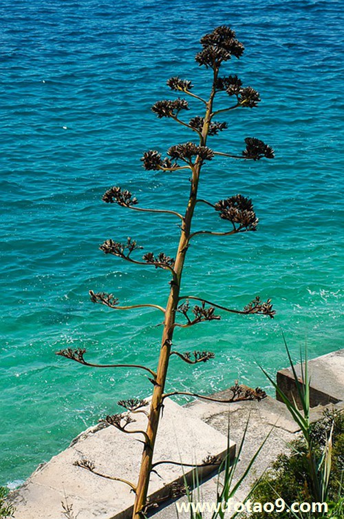 μһͻ·ײ,μһͻ·ײ