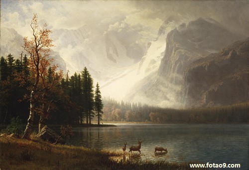 μСһ˫Ь,μСһ˫Ь