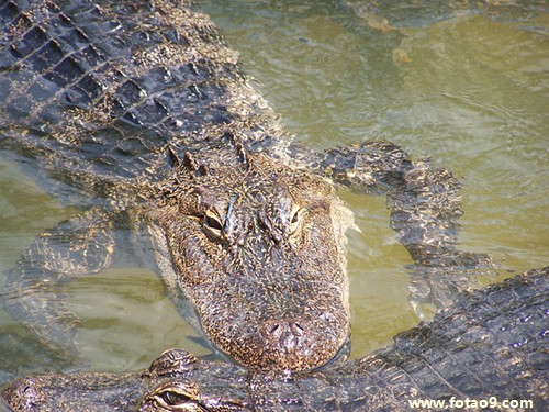 μͨ¹Ҫ⳥ҽҩ,μͨ¹Ҫ⳥ҽҩ