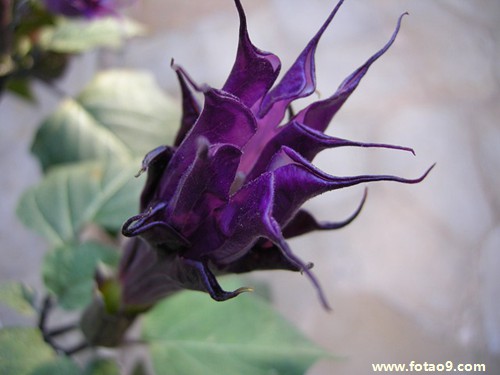 梦见我拿到车钥匙打开车,解梦梦见我拿到车钥匙打开车 梦见我拿到车钥匙打开车,解梦梦见我拿到车钥匙打开车