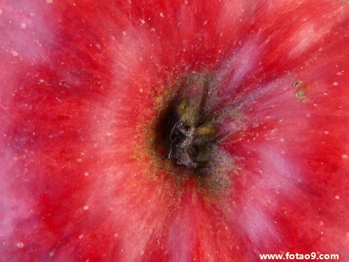 梦见借象棋,解梦梦见借象棋 梦见借象棋,解梦梦见借象棋