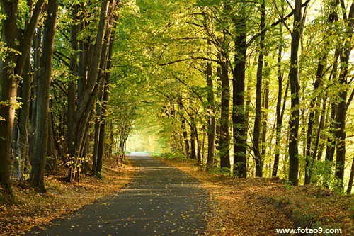 梦见自踹连藕,解梦梦见自踹连藕 梦见自踹连藕,解梦梦见自踹连藕