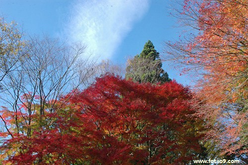 梦见朋友赢了很多,解梦梦见朋友赢了很多 梦见朋友赢了很多,解梦梦见朋友赢了很多