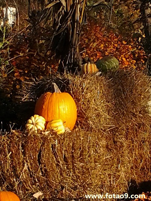 梦见三条蛇彩票号是,解梦梦见三条蛇彩票号是 梦见三条蛇彩票号是,解梦梦见三条蛇彩票号是