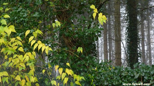 梦见金项链变成了银项链,解梦梦见金项链变成了银项链 梦见金项链变成了银项链,解梦梦见金项链变成了银项链