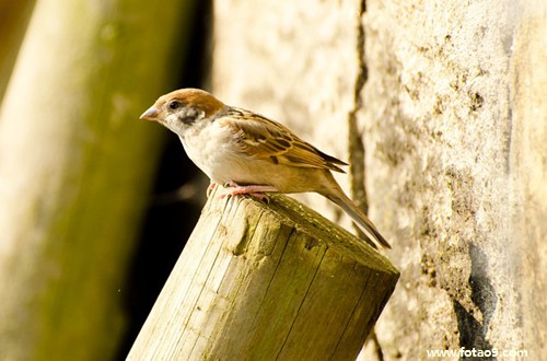 μߵӱͻˮ,μߵӱͻˮ