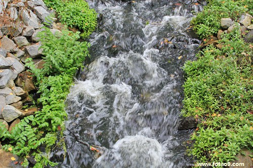 μɷѺöǮ,μɷѺöǮ