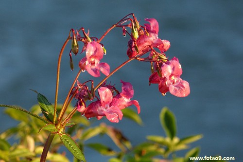 梦见别人的小孩掉悬崖,解梦梦见别人的小孩掉悬崖 梦见别人的小孩掉悬崖,解梦梦见别人的小孩掉悬崖