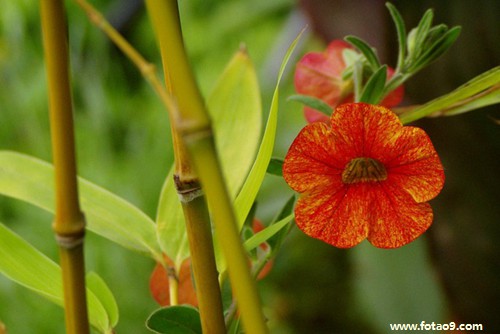 μİŮ˽סҼ,μİŮ˽סҼ