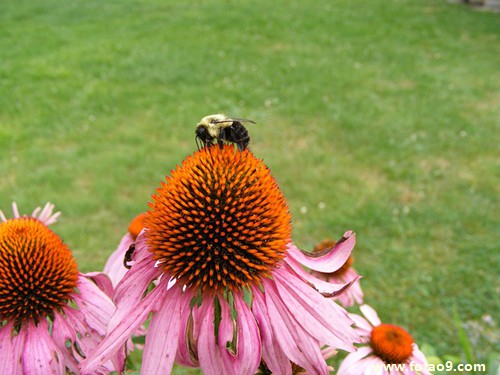 梦见前夫不愿意复合,解梦梦见前夫不愿意复合 梦见前夫不愿意复合,解梦梦见前夫不愿意复合