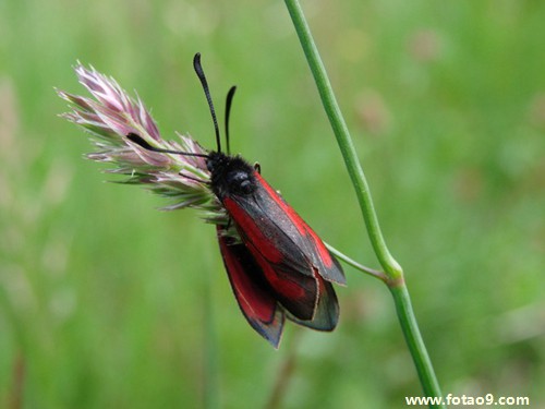 梦见下雨屋子塌,解梦梦见下雨屋子塌 梦见下雨屋子塌,解梦梦见下雨屋子塌