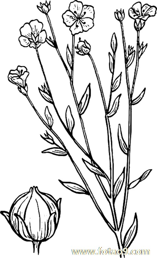 μԼʦ,μԼʦ