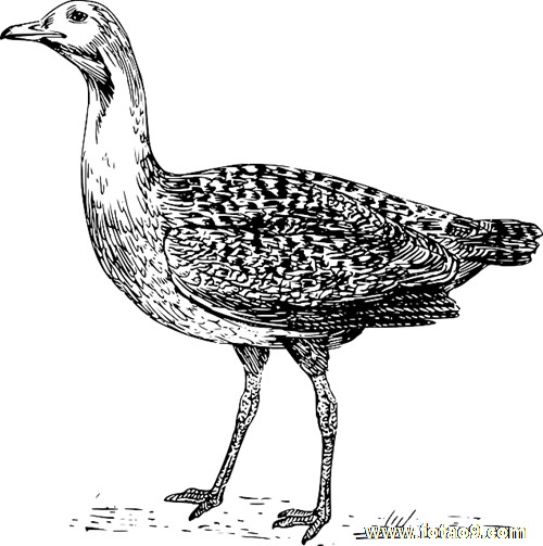 μŮˤݿѪ,μŮˤݿѪ