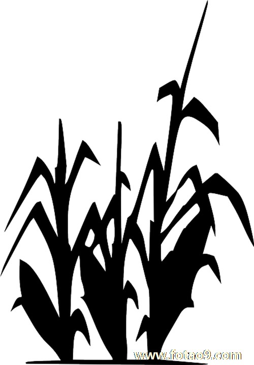 μӱǹɱ,μӱǹɱ
