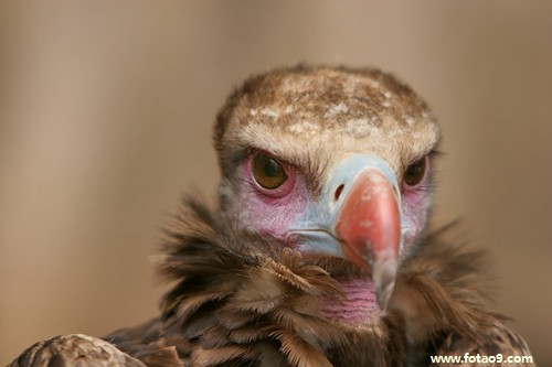 梦见妈妈体检除了重病,解梦梦见妈妈体检除了重病 梦见妈妈体检除了重病,解梦梦见妈妈体检除了重病