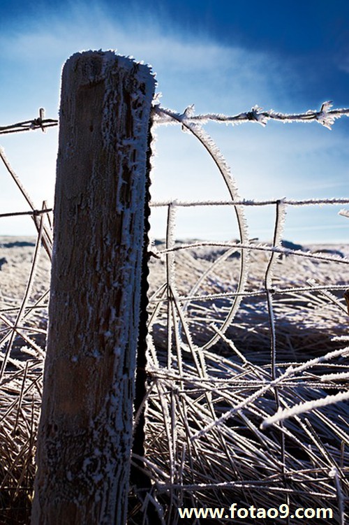 梦见厕所很多灰尘蜘蛛网,解梦梦见厕所很多灰尘蜘蛛网 梦见厕所很多灰尘蜘蛛网,解梦梦见厕所很多灰尘蜘蛛网