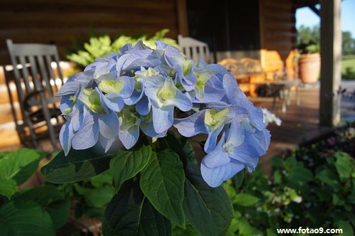 μϹǰŮѽ,μϹǰŮѽ