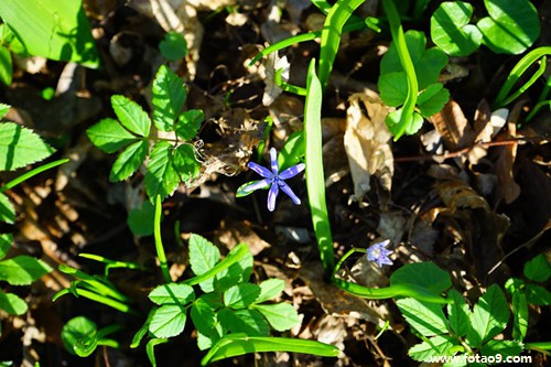 μӻսǺ͵,μӻսǺ͵