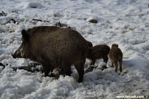 梦见妈妈偷土围成一圈,解梦梦见妈妈偷土围成一圈 梦见妈妈偷土围成一圈,解梦梦见妈妈偷土围成一圈