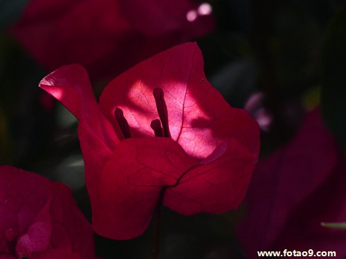 梦见日本人跑家里来了,解梦梦见日本人跑家里来了 梦见日本人跑家里来了,解梦梦见日本人跑家里来了