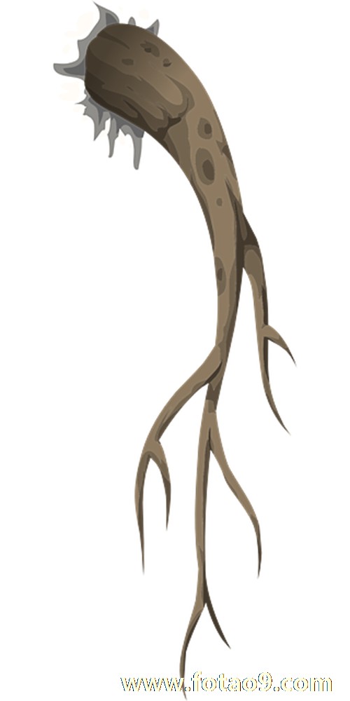 μһֻֻֻĸ,μһֻֻֻĸ