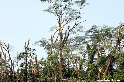 μϴʱ·ʱ˿,μϴʱ·ʱ˿