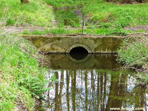 梦见母亲牙被摔掉了,解梦梦见母亲牙被摔掉了 梦见母亲牙被摔掉了,解梦梦见母亲牙被摔掉了