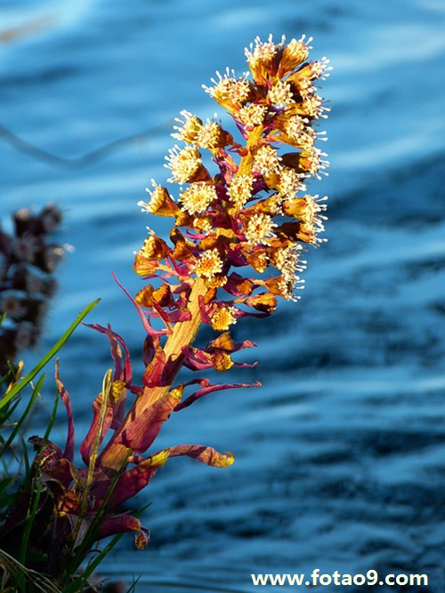 μͬŮͬѧ,μͬŮͬѧ