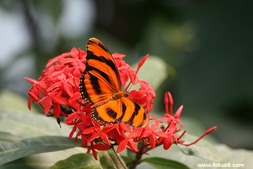 μҪһǮ,μҪһǮ