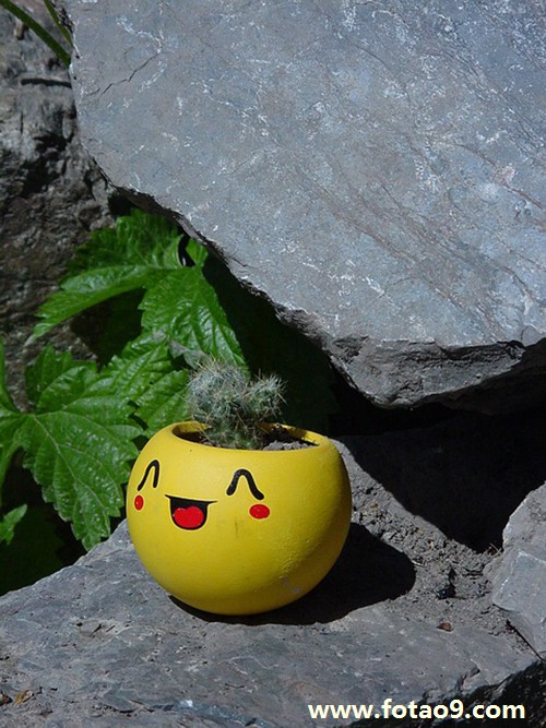 μˮ,μˮ