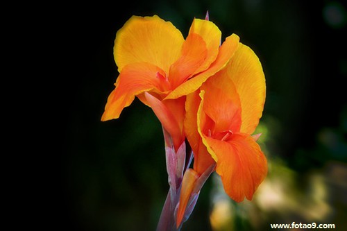 μǰŮѺͱȥƵ,μǰŮѺͱȥƵ