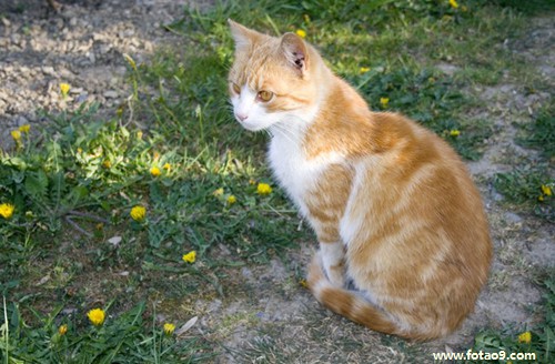 梦见有传染病的追求者追赶着我,解梦梦见有传染病的追求者追赶着我 梦见有传染病的追求者追赶着我,解梦梦见有传染病的追求者追赶着我