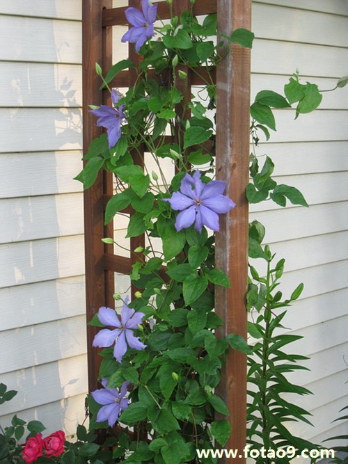 梦见被老头追着要强暴,解梦梦见被老头追着要强暴 梦见被老头追着要强暴,解梦梦见被老头追着要强暴