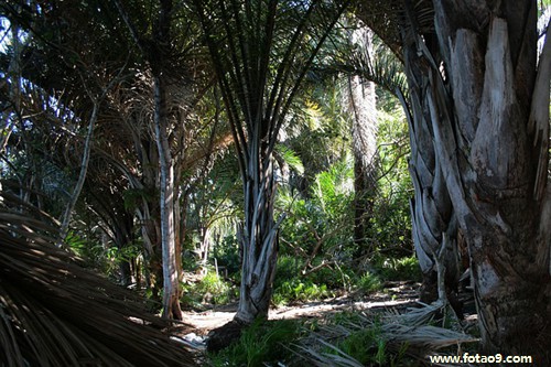 梦见福尔马林,解梦梦见福尔马林 梦见福尔马林,解梦梦见福尔马林