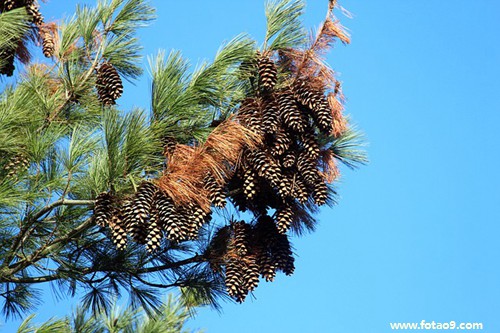 梦见大师帮我算卦,解梦梦见大师帮我算卦 梦见大师帮我算卦,解梦梦见大师帮我算卦