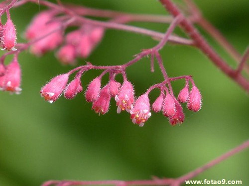 梦见偷别人被子有还回去,解梦梦见偷别人被子有还回去 梦见偷别人被子有还回去,解梦梦见偷别人被子有还回去