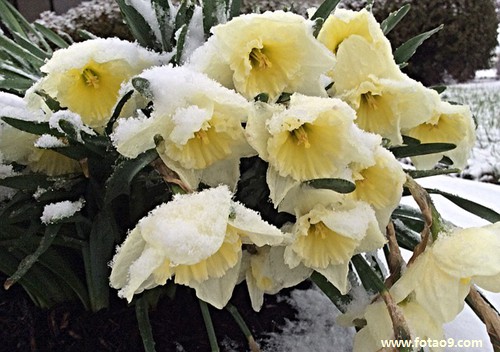 μʯͷߵûҵ,μʯͷߵûҵ