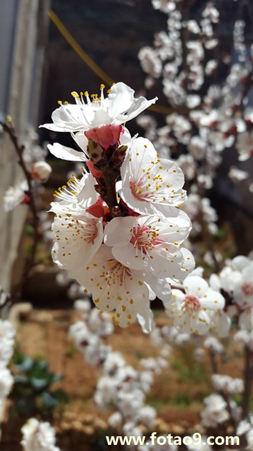 梦见和死去亲人一起骑车,解梦梦见和死去亲人一起骑车 梦见和死去亲人一起骑车,解梦梦见和死去亲人一起骑车