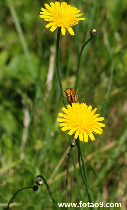 梦见老师在厕所里抓抽烟的学生,解梦梦见老师在厕所里抓抽烟的学生 梦见老师在厕所里抓抽烟的学生,解梦梦见老师在厕所里抓抽烟的学生