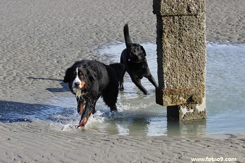 μŮѴؼҳ,μŮѴؼҳ