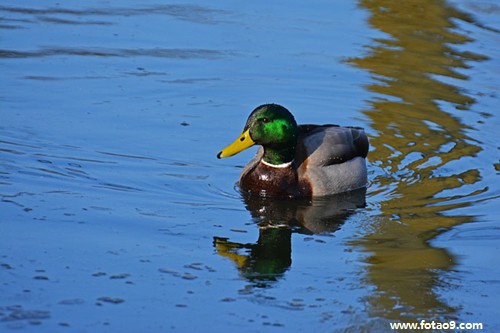 梦见被前男友带回家,解梦梦见被前男友带回家 梦见被前男友带回家,解梦梦见被前男友带回家