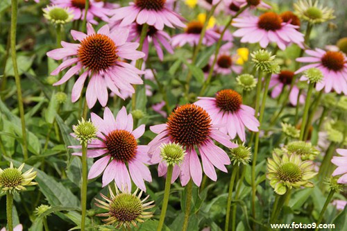 梦见朋友和喜欢的人亲嘴,解梦梦见朋友和喜欢的人亲嘴 梦见朋友和喜欢的人亲嘴,解梦梦见朋友和喜欢的人亲嘴