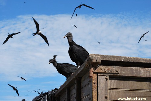 μóɼõཱܶ,μóɼõཱܶ