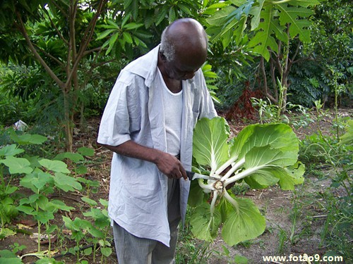 μԼɱ˷׷,μԼɱ˷׷