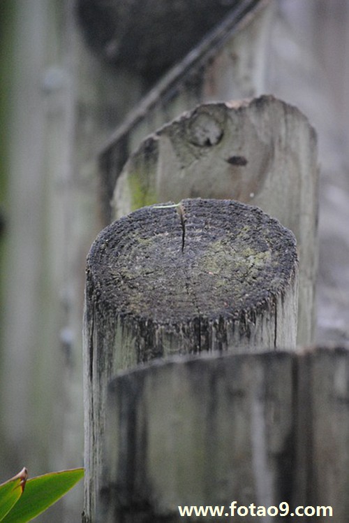 μİ˵ǹûס,μİ˵ǹûס